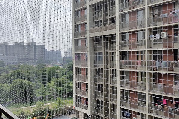 Safety Net Bird Net Near Me in Sanand