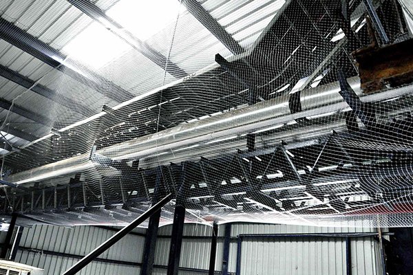 industrial bird net in changodar