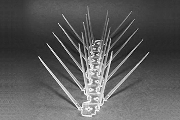 Bird Spike Manufacture Ahmedabad